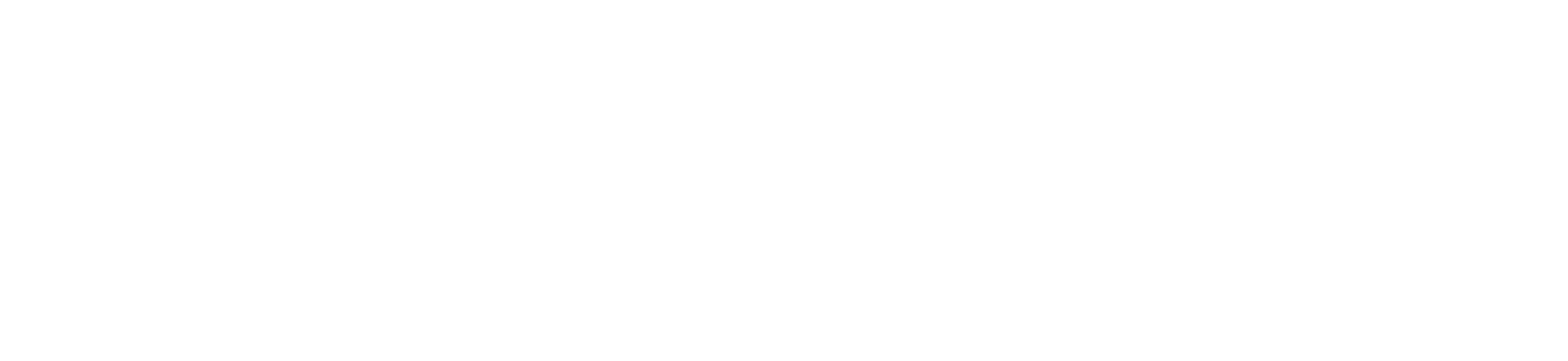 SAI Group · Silverback